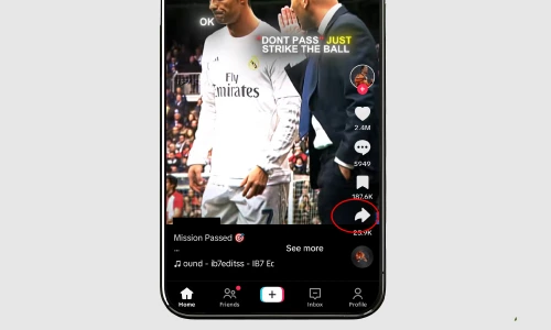 download tiktok videos